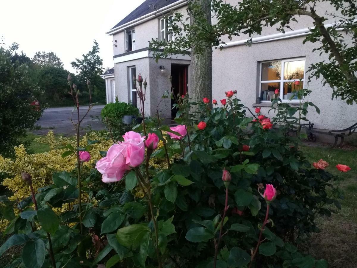 Lisieux House On Lough Neagh Bed and Breakfast Aghalee Exteriör bild